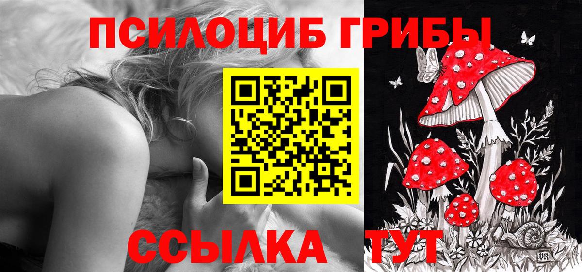 Псилоцибиновые грибы ЛСД  Вход с VPN  Кумертау  Псилоцибиновые грибы GOLDEN TEACHER 