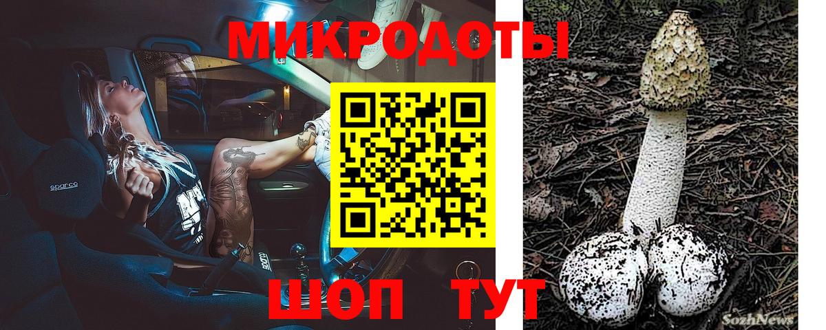 Галлюциногенные грибы Cubensis Кумертау