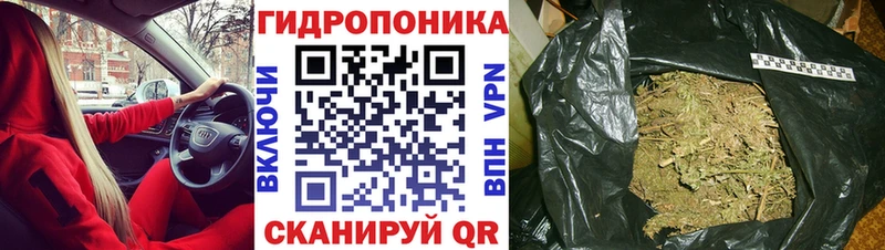 хочу наркоту  Кумертау  Бошки Шишки MAZAR 